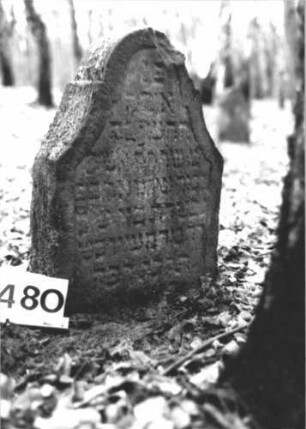 Grabstein 2480