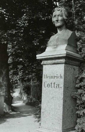 Heinrich Cotta