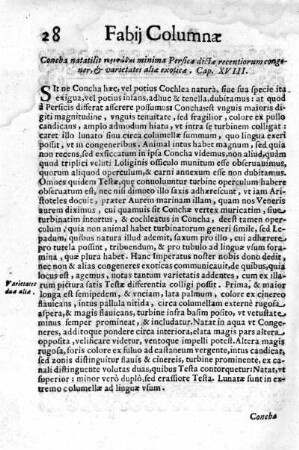 Concha natatilis ... Cap. XVIII.