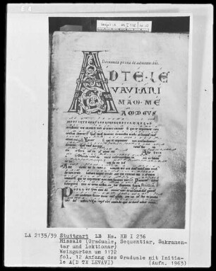 Graduale-Sakramentar-Lektionar — Initiale A(d te levavi), Folio 12recto