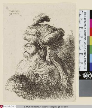Un vieillard à grande barbe, vu de profil et tourné vers la gauche [Kopf eines alten Mannes im Profil nach links mit orientalischem Turban mit Federschmuck]