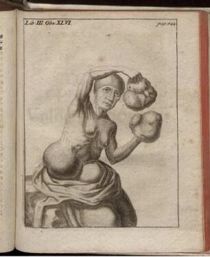 Ill. zu S. 544 (Lib. III Obs. XLVI)