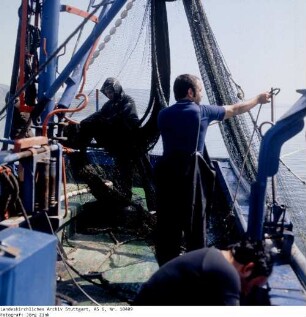 Israel: Fischfang See Genezareth