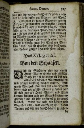 Das XVI. Capitel. Von den Schaafen