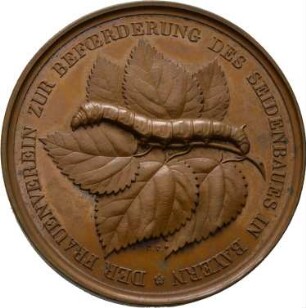 Medaille, vor 1848?