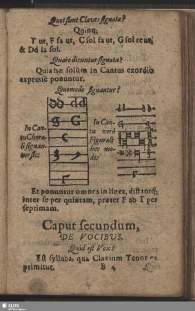 Caput secundum, De Vocibus