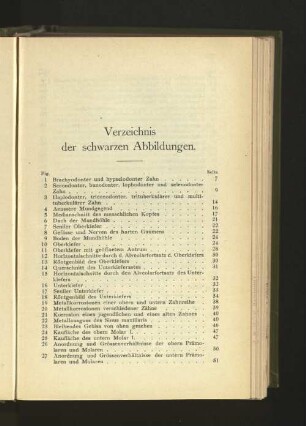 Verzeichnis der schwarzen Abbildungen.