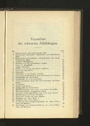 Verzeichnis der schwarzen Abbildungen.