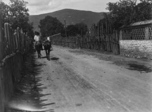 Kakteenpalisade : Reiter auf einer Straße, die rechts und links von Kakteen umgeben ist.