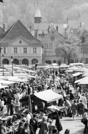 Freiburg: Münsterplatz, vom Eissalon auf Markt und Hauptwache