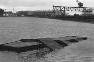 Hochwasser des Rheins