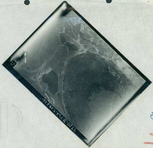 Foto des Waldes von Vaux und das Geländes nordöstlich davon (Luftbild)
