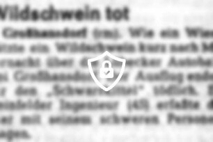 Wildschwein tot