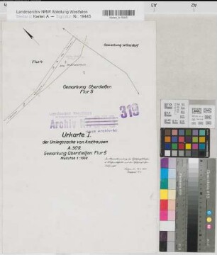 Anzhausen (Wilnsdorf), Umlegung Anzhausen, Urkarte I Oberdielfen Flur 5