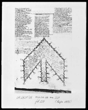 Decretalen Gregors des neunten mit Glosse — Arbor consanguinitatis, Folio 229recto