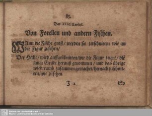 Das XXXI. Capitel. Von Forellen und andern Fischen