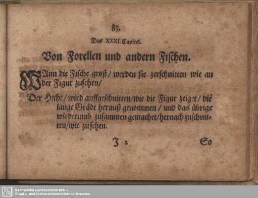 Das XXXI. Capitel. Von Forellen und andern Fischen