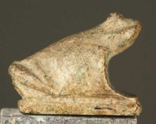 Sitzender Frosch