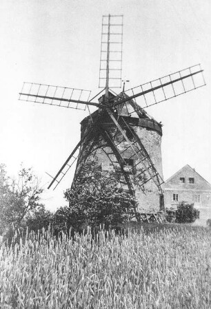 Reichenbach/O.L.. Holländermühle, Repro nach Fotografie vor 1945