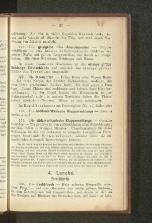 4. Lurche.