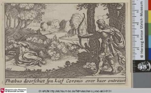 Phoebus doorschiet syn Lief Coronis over haer ontrouwe