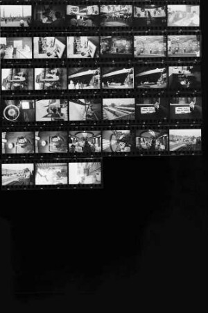 JVA 1965