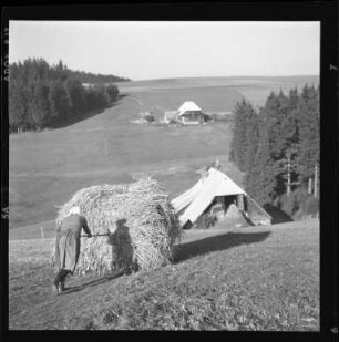 Heuernte bei Waldau