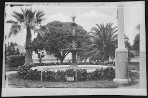 Santa Ana. Park at Santa Ana, Cal.