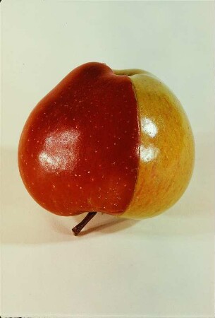 Äpfel
