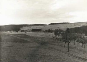 Tal der Wilden Weißeritz