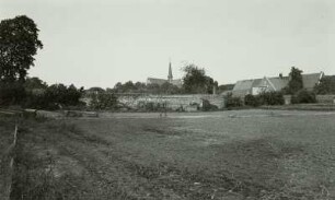 Bad Doberan, Blick über ein Kohlfeld auf das Kloster Doberan
