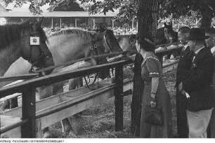 1. Landwirtschaftliche Leistungsschau, 8. Juli 1950