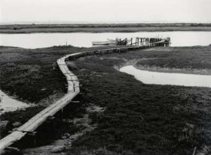 Am Rio de San Pedro bei Cadiz, Andalusien