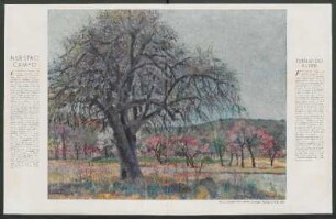 Nuestro campo - Fernando Fader