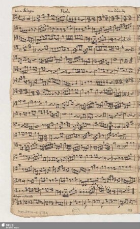 Viola