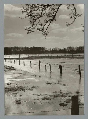 Überschwemmte Landschaft in Kappeln