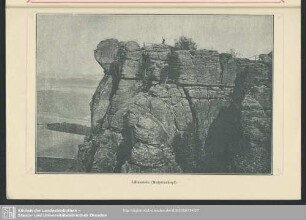 Lilienstein (Mulattenkopf)