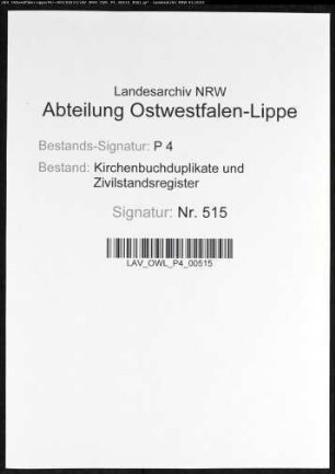 Kirchenbuchduplikat der katholischen Gemeinde Sundern, Kreis Arnsberg (GHT 1865-1874). (Gemeinde: Katholische Gemeinde)