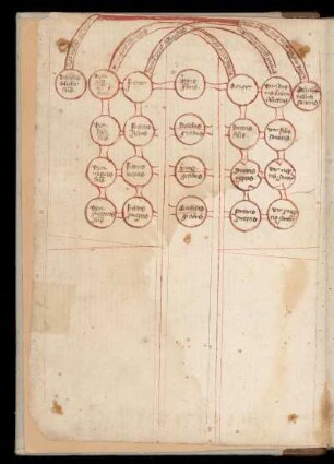 Schema arboris affinitatis