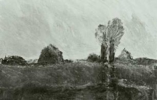 Landschaft am Teich