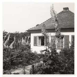 Garten Prof. Wilhelm Kempff, Potsdam: Blick auf Haus