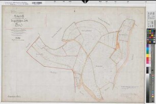 Irmgarteichen (Netphen), Separation von Irmgarteichen, Urkarte II Flur 1