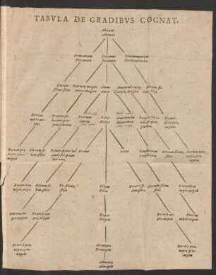 Tabula de Gradibus Cognat.