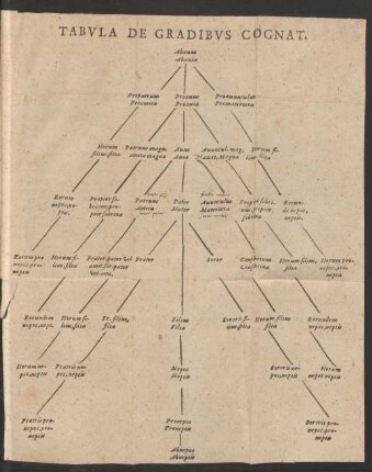 Tabula de Gradibus Cognat.