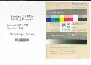 Entnazifizierung Antonie Schneberger , geb. 08.10.1900 (Kauffrau)
