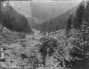 Bergtal : Blick in ein bewaldetes Bergtal mit einer gerodeten Schneise