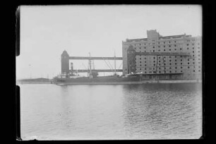 Otto Cords (1910), Cords.- Dampfs Gesellschaft Aug. Cords mbH, Rostock