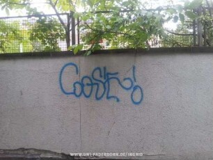 GooSE!