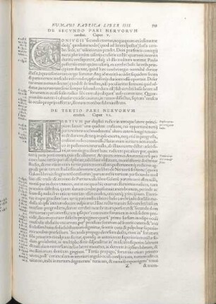 De Tertio Pari Nervorvm cerebri. Caput VI. [De Qvarto Pari Nervorvm cerebri. Caput VII. Qvinti Nervorvm Cerebri paris series. Caput VIII. De Sexto Pari Nervorvm cerebri. Caput IX. De Septimo Pari Nervorvm cerebri. Caput X.]
