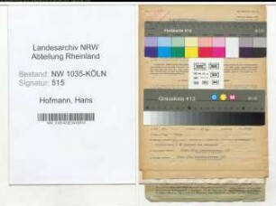 Entnazifizierung Hans Hofmann , geb. 01.06.1902 (Kaufmaennischer Angestellter)